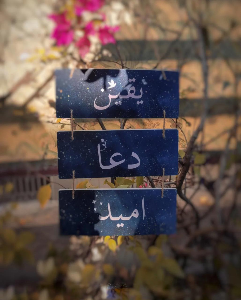 Letters from the Sky